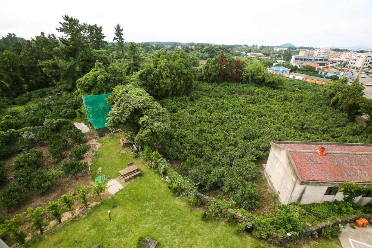Haeneoul Villa Seogwipo Dış mekan fotoğraf