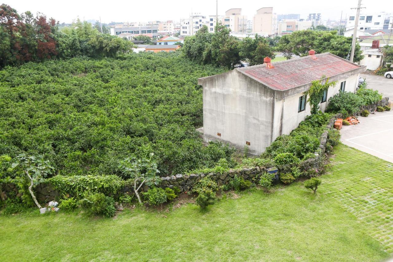 Haeneoul Villa Seogwipo Dış mekan fotoğraf