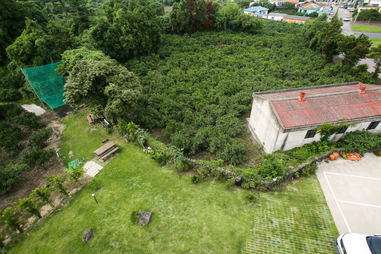 Haeneoul Villa Seogwipo Dış mekan fotoğraf